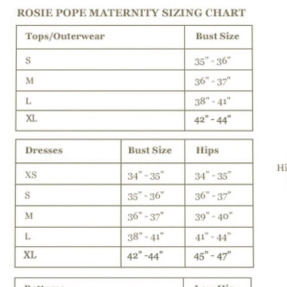 HP❤️Rosie Pope underwire lightly lined nursing bra - Picture 5 of 6